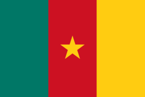 Drapeau du Cameroun